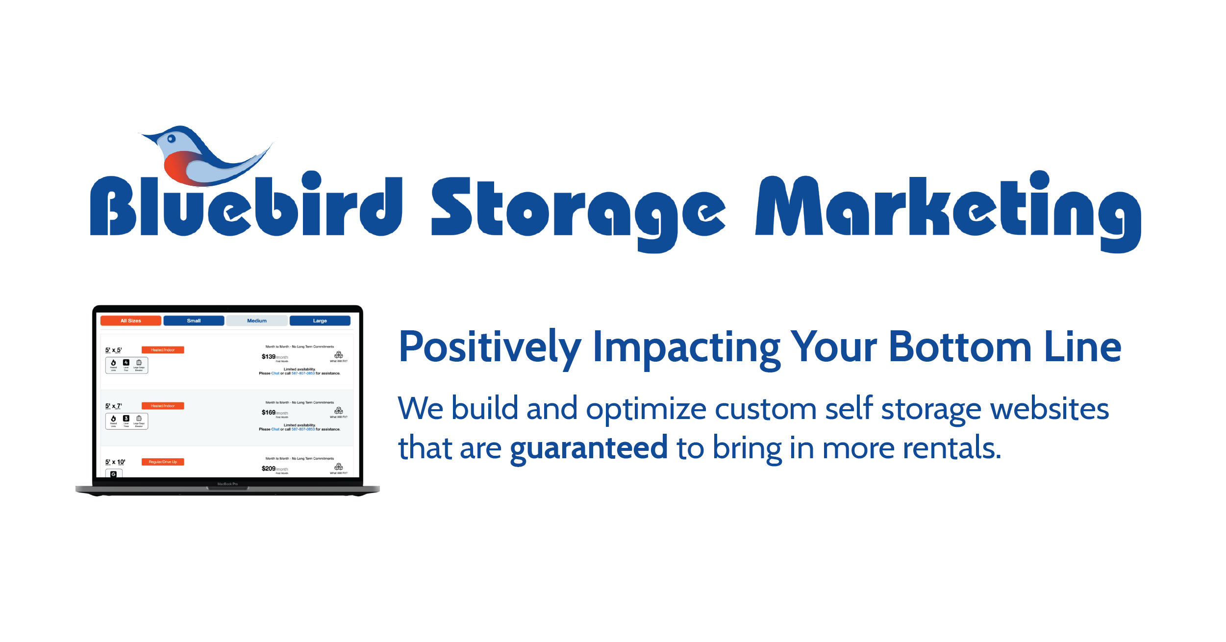 Bluebird Self Storage Launches Digital Marketing Division